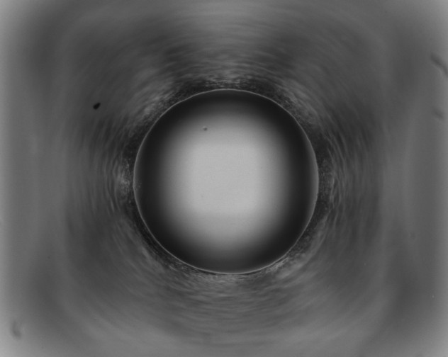 X0000091900040200709121507