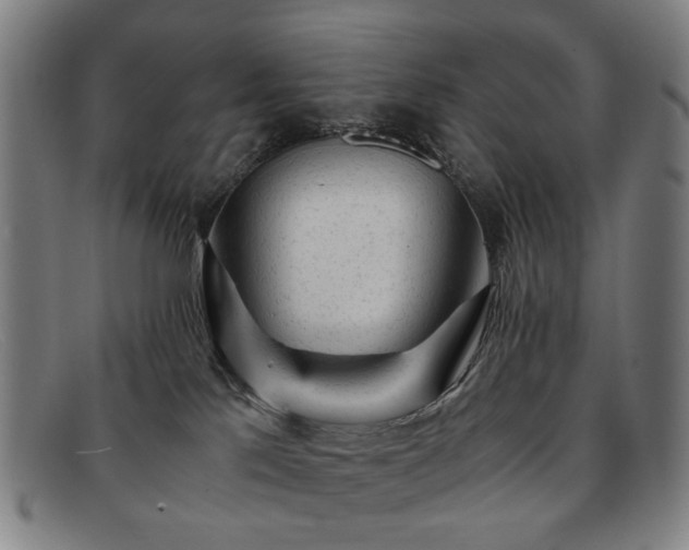 X0000091900041200709121507