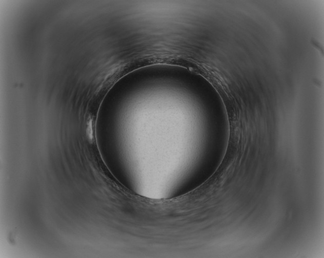 X0000091900042200709121507