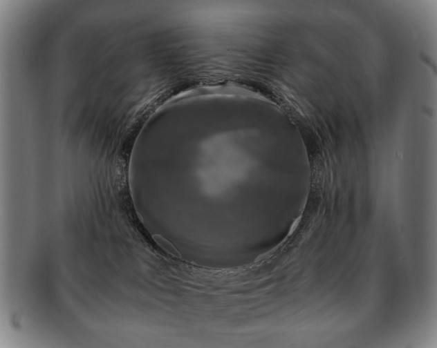 X0000091900043200709121507