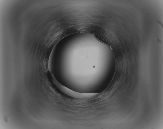 X0000091900044200709121507