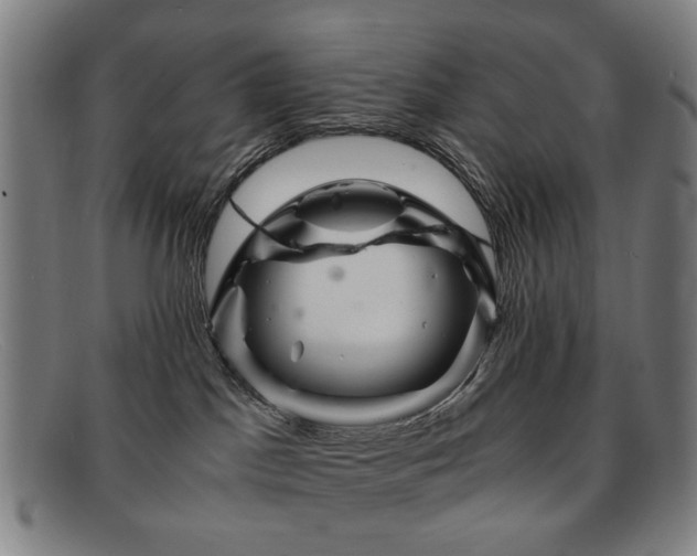 X0000091900045200709121507