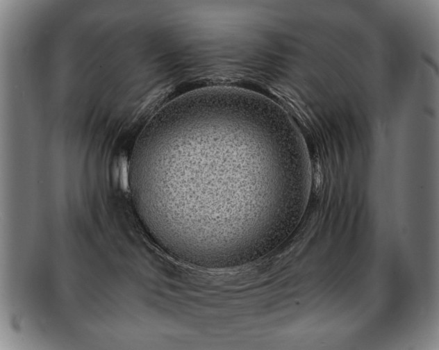 X0000091900046200709121507