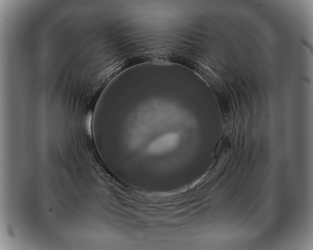 X0000091900047200709121507