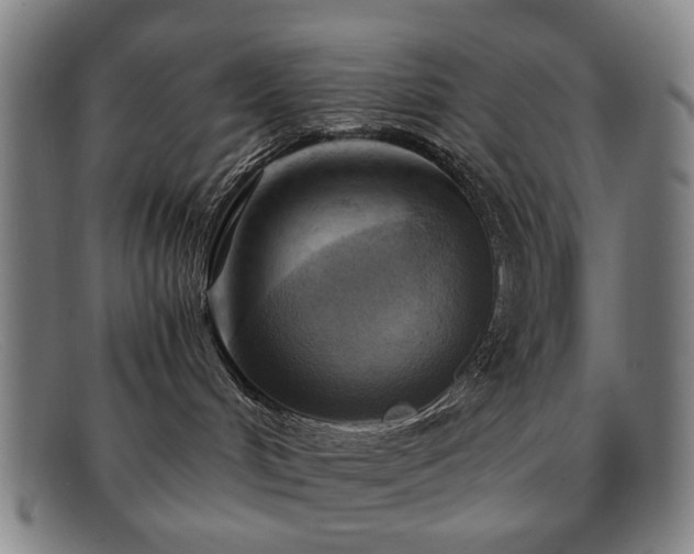 X0000091900048200709121507