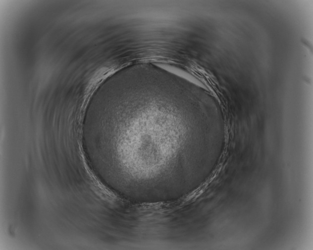 X0000091900049200709121506