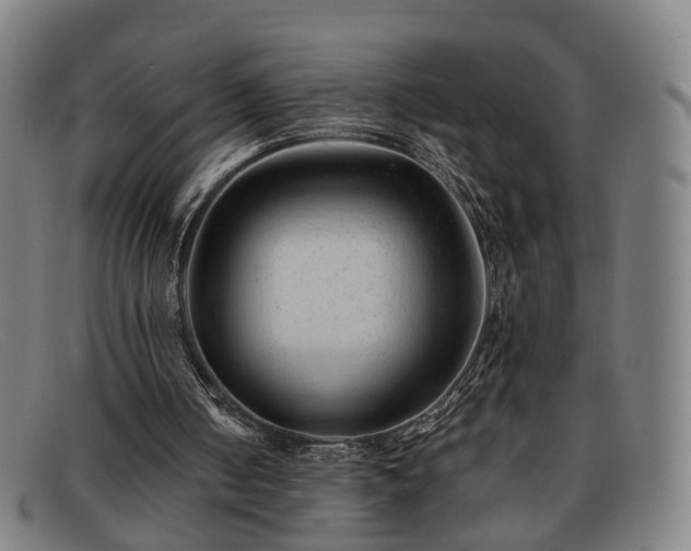 X0000091900050200709121506