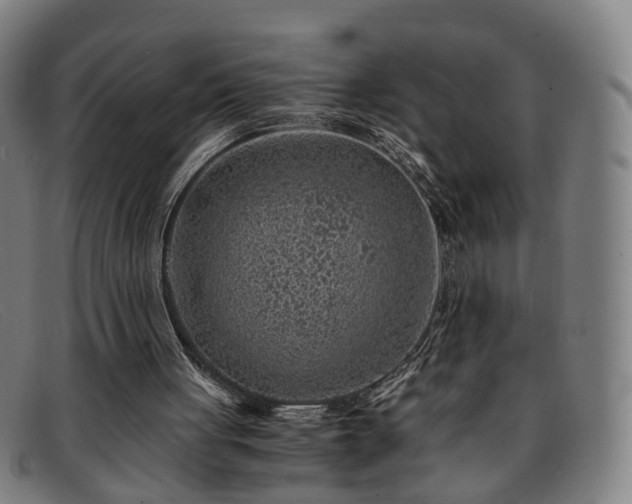 X0000091900051200709121506