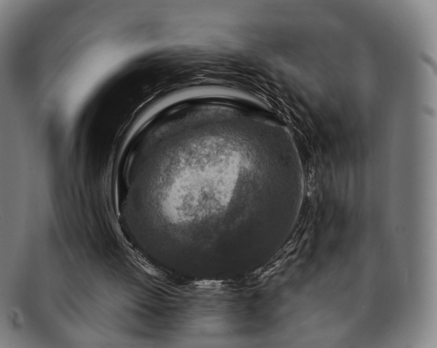 X0000091900052200709121506