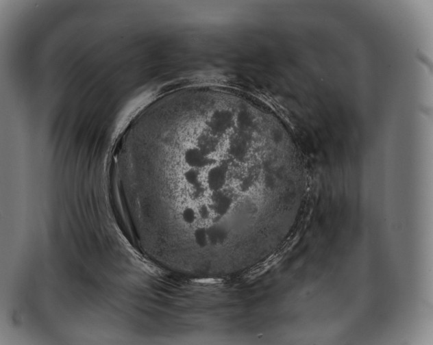 X0000091900053200709121506