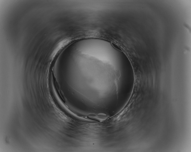 X0000091900054200709121506