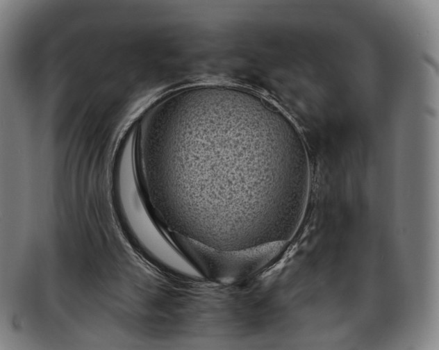 X0000091900055200709121506