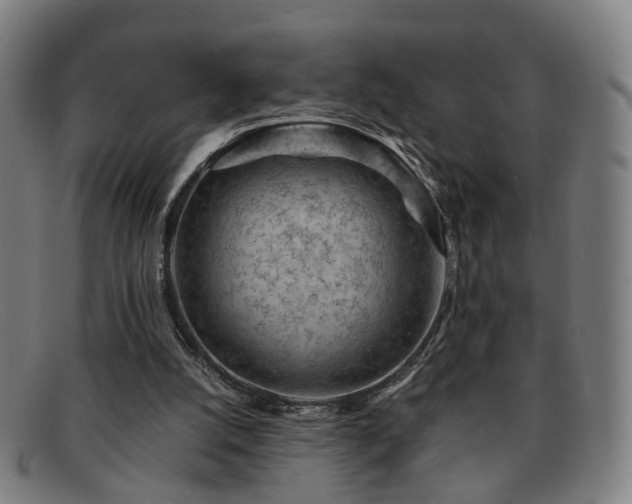 X0000091900056200709121506