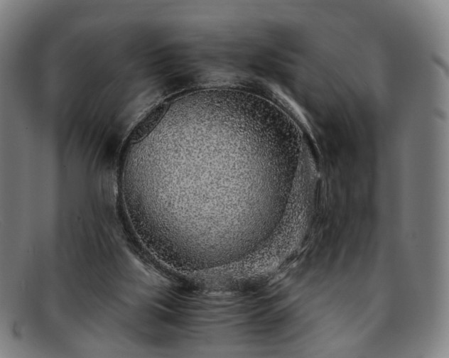 X0000091900059200709121506