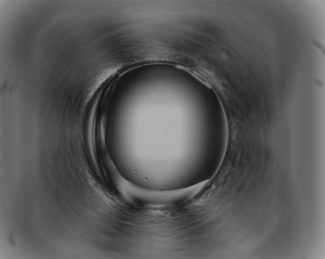 X0000091900060200709121506