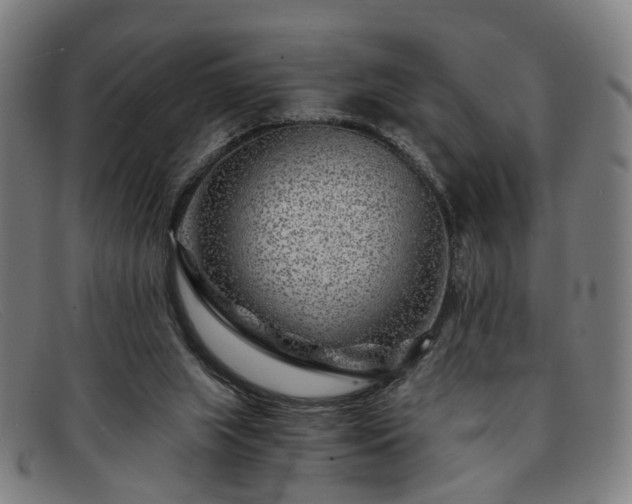 X0000091900063200709121506