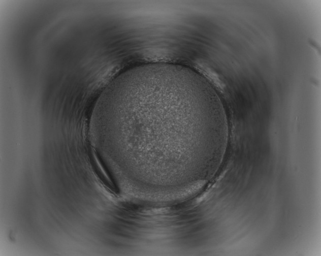 X0000091900065200709121506