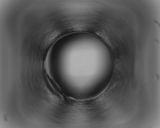 X0000091900066200709121506