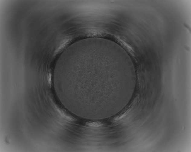 X0000091900067200709121506