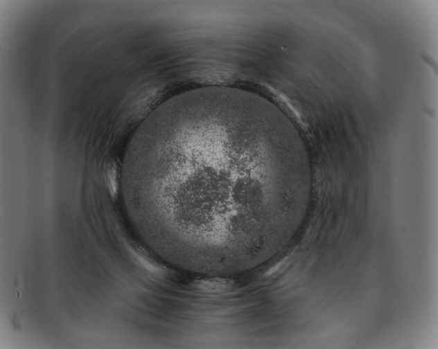 X0000091900069200709121506