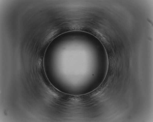 X0000091900071200709121506