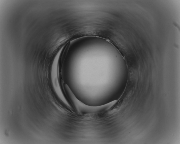 X0000091900072200709121506