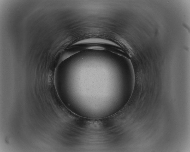 X0000091900073200709121506