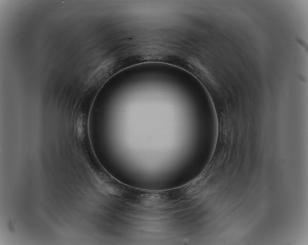 X0000091900074200709121506