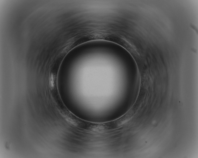 X0000091900075200709121506