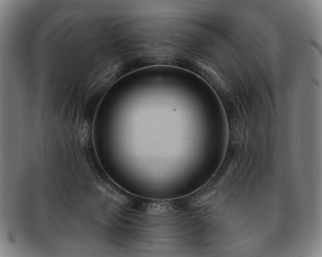 X0000091900077200709121506