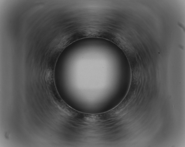 X0000091900079200709121506