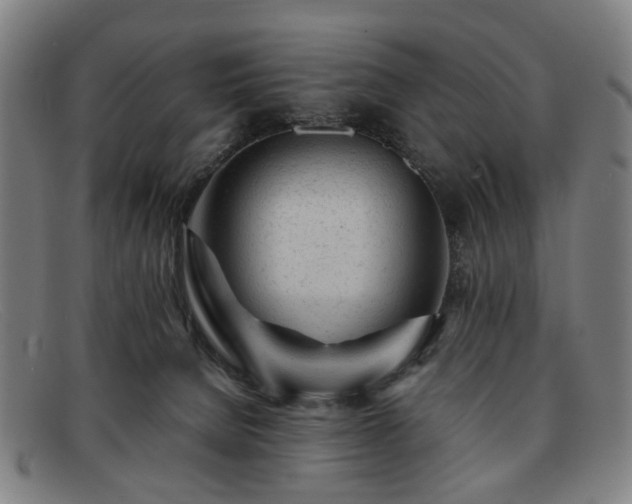 X0000091900080200709121507