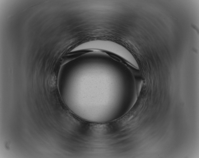 X0000091900081200709121507