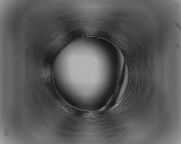 X0000091900082200709121507