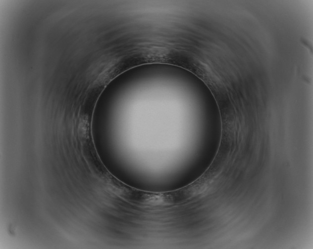 X0000091900083200709121507