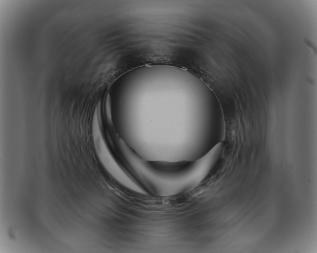 X0000091900084200709121507