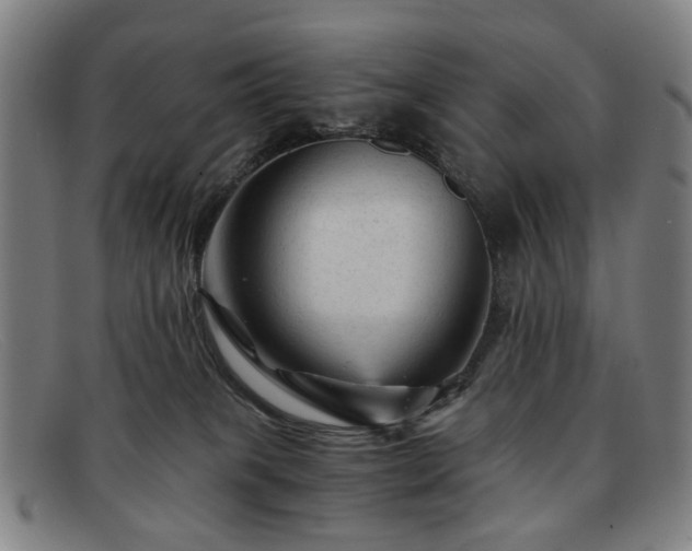 X0000091900085200709121507