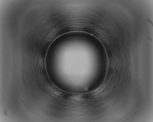 X0000091900086200709121507