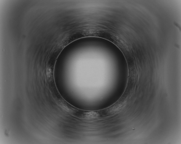 X0000091900087200709121507