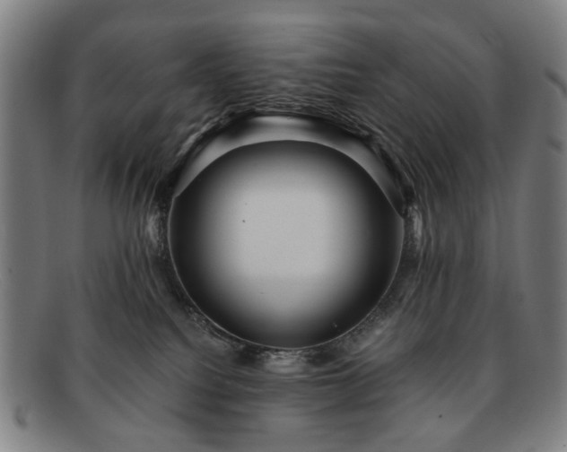 X0000091900088200709121507