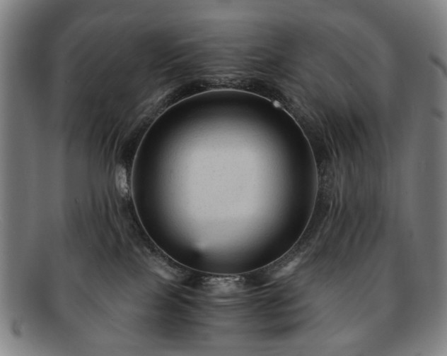 X0000091900089200709121507