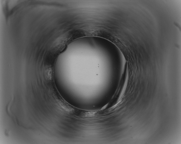 X0000091900090200709121507