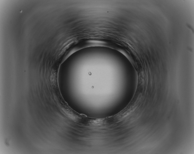 X0000091900092200709121507