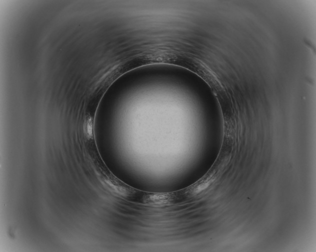 X0000091900095200709121507