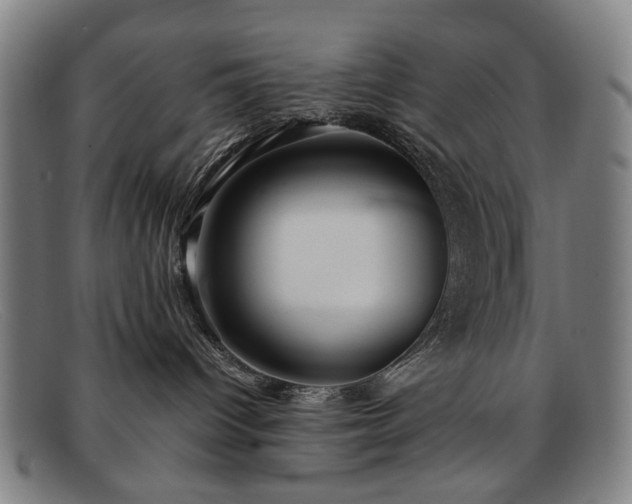 X0000091900096200709121507