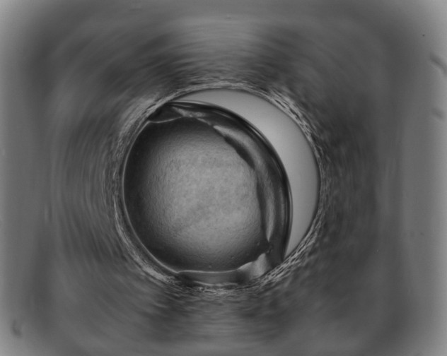 X0000091900097200709121506