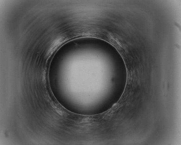 X0000091900098200709121506