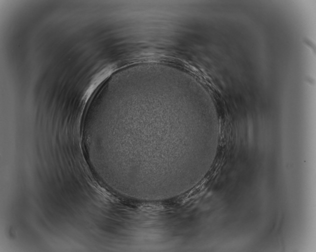 X0000091900099200709121506