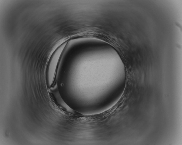 X0000091900100200709121506