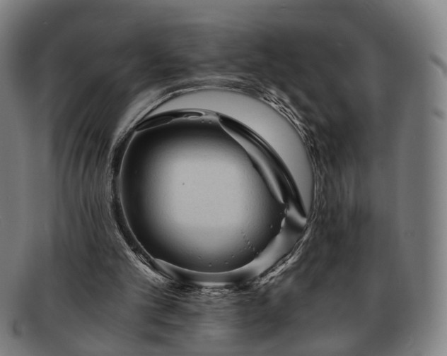 X0000091900101200709121506